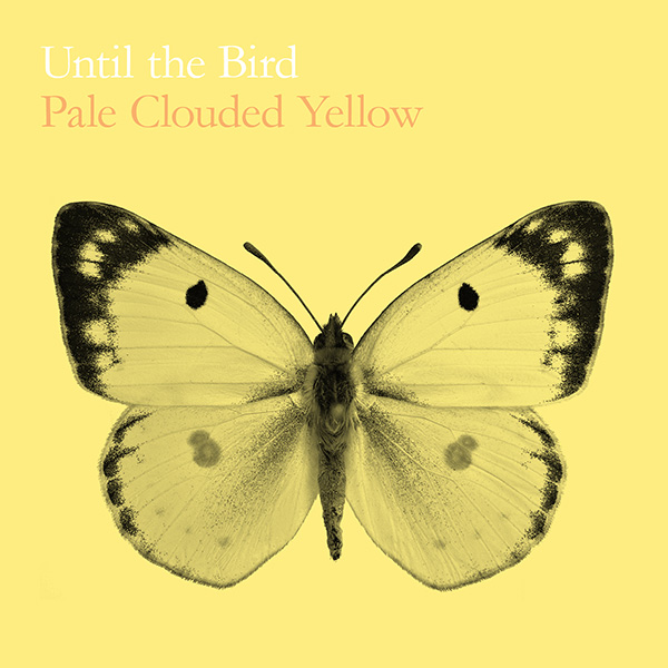 Until The Bird